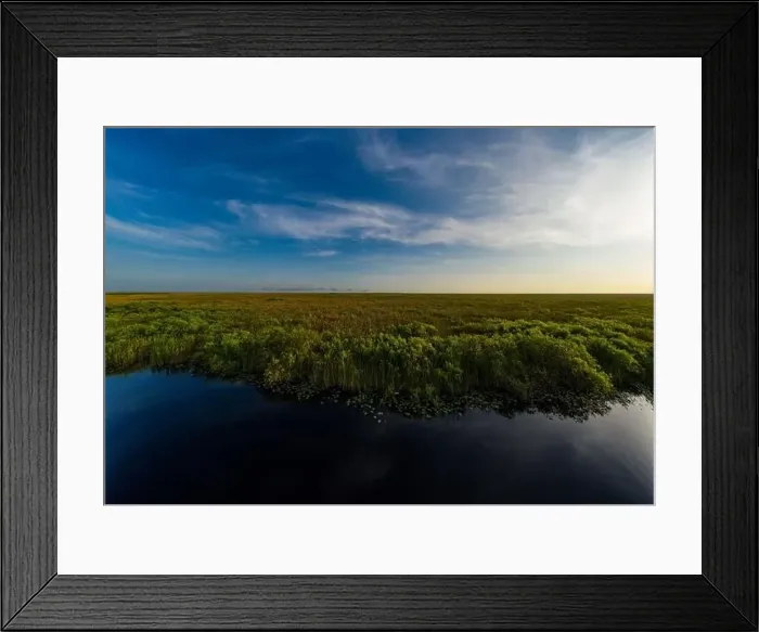Framed Print : Aerial photo Florida Everglades wildlife preserve Framed Print : Aerial photo Florida Everglades wildlife preserve