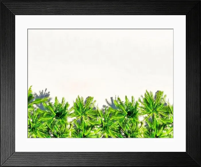 Framed Print : Aerial view top view empty beach with cocomut palm trees Framed Print : Aerial view top view empty beach with cocomut palm trees