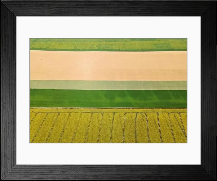 Framed Print : Colorful farm fields from above. Sunflower, wheat, rye and corn. Agricultural background Framed Print : Colorful farm fields from above. Sunflower, wheat, rye and corn. Agricultural background