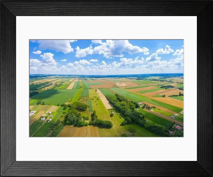 Framed Print : Beautiful panoramic aerial view photo from flying drone to Meadow with dandelions on a sunny day Framed Print : Beautiful panoramic aerial view photo from flying drone to Meadow with dandelions on a sunny day