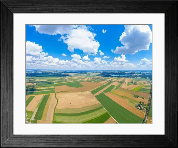 Framed Print : Beautiful panoramic aerial view photo from flying drone to Meadow with dandelions on a sunny day Framed Print : Beautiful panoramic aerial view photo from flying drone to Meadow with dandelions on a sunny day