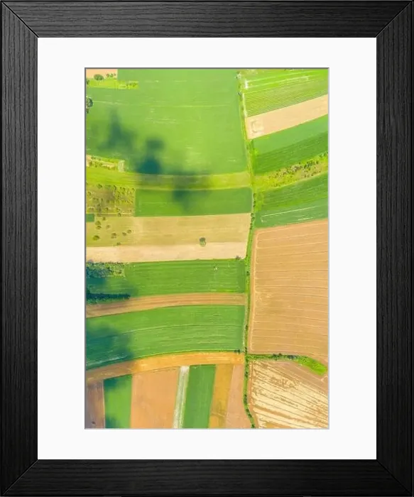 Framed Print : Beautiful panoramic aerial view photo from flying drone to Meadow with dandelions on a sunny day Framed Print : Beautiful panoramic aerial view photo from flying drone to Meadow with dandelions on a sunny day