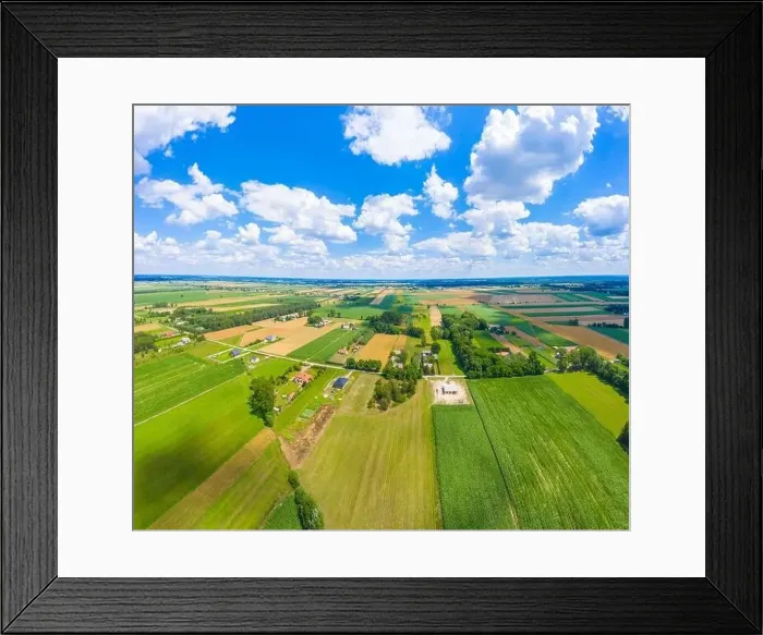 Framed Print : Beautiful panoramic aerial view photo from flying drone to Meadow with dandelions on a sunny day Framed Print : Beautiful panoramic aerial view photo from flying drone to Meadow with dandelions on a sunny day