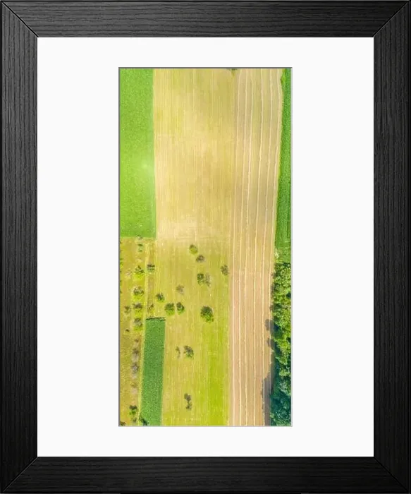 Framed Print : Top aerial panoramic view of green fields and meadows in summer