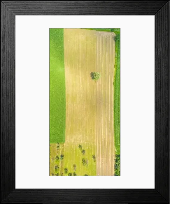 Framed Print : Top aerial panoramic view of green fields and meadows in summer Framed Print : Top aerial panoramic view of green fields and meadows in summer