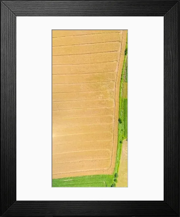 Framed Print : Top aerial panoramic view of green fields and meadows in summer Framed Print : Top aerial panoramic view of green fields and meadows in summer
