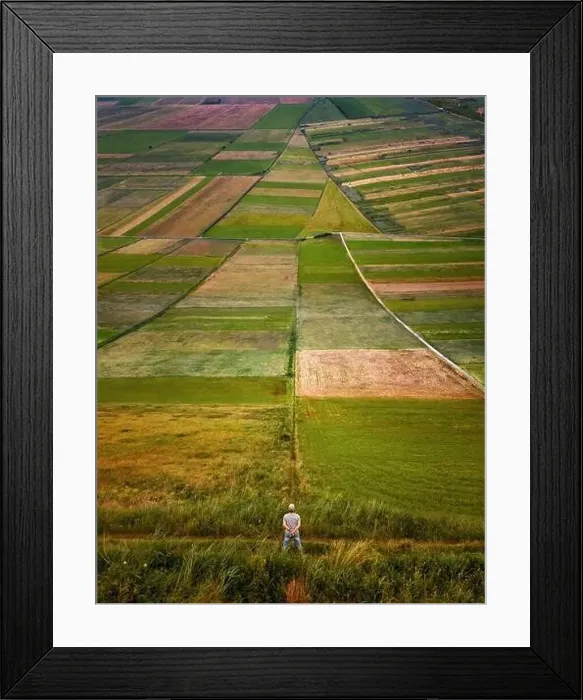 Framed Print : Man on colorful fields in shape of arrow, Kurpie, Poland Framed Print : Man on colorful fields in shape of arrow, Kurpie, Poland