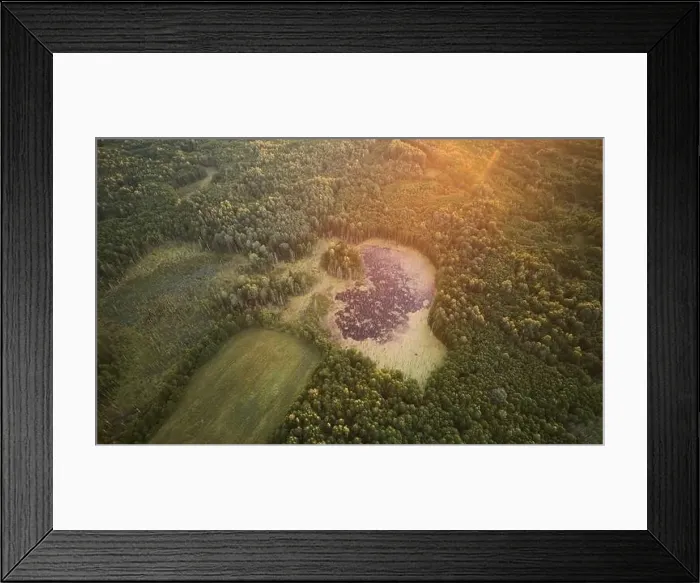 Framed Print : Swamp in forest background aerial above top view Framed Print : Swamp in forest background aerial above top view