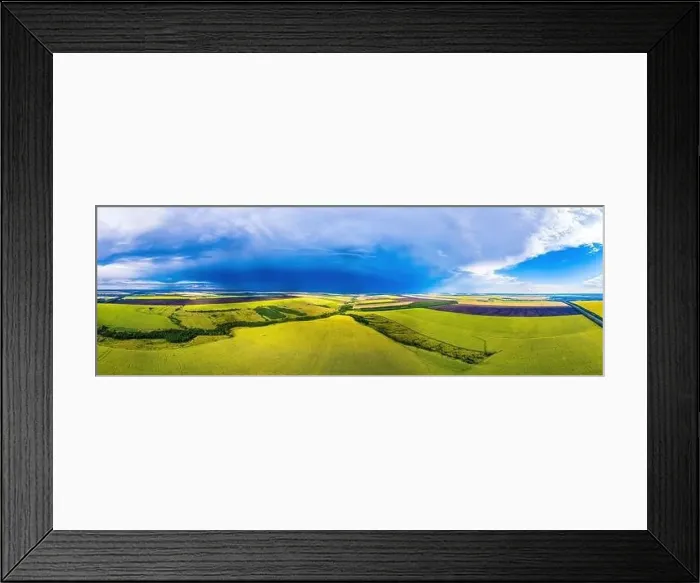 Framed Print : Field of sunflowers. Top view. Lines of sunflowers. Drone photography. Yellow green background. High quality photo Framed Print : Field of sunflowers. Top view. Lines of sunflowers. Drone photography. Yellow green background. High quality photo