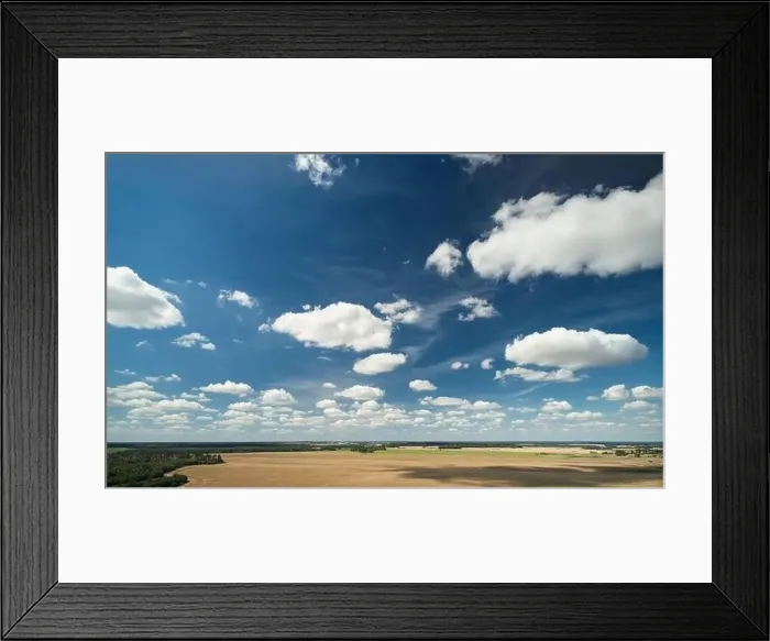 Framed Print : Agriculture brown field under blue sky aerial view