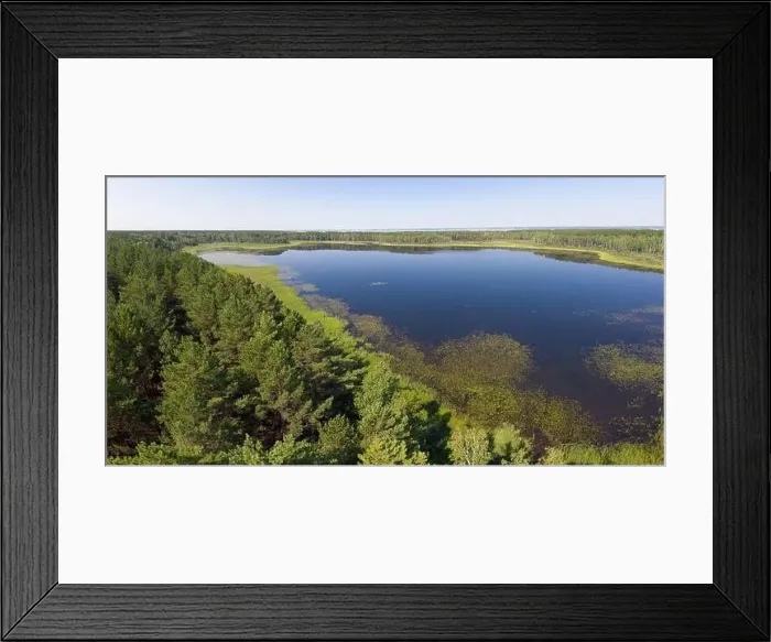 Framed Print : Aerial photo panorama of forest boggy lake in the Karakansky pine forest near the shore of the Ob reservoir Framed Print : Aerial photo panorama of forest boggy lake in the Karakansky pine forest near the shore of the Ob reservoir