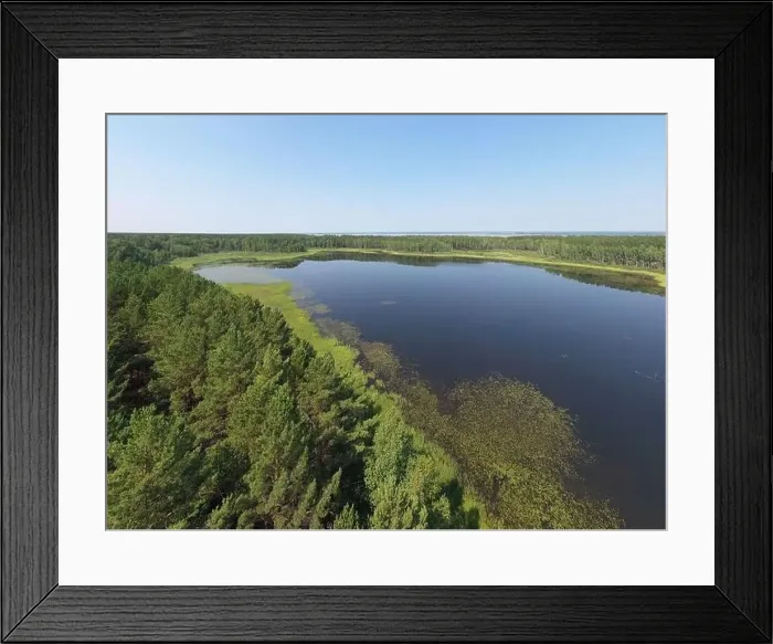 Framed Print : Aerial photo panorama of forest boggy lake in the Karakansky pine forest near the shore of the Ob reservoir