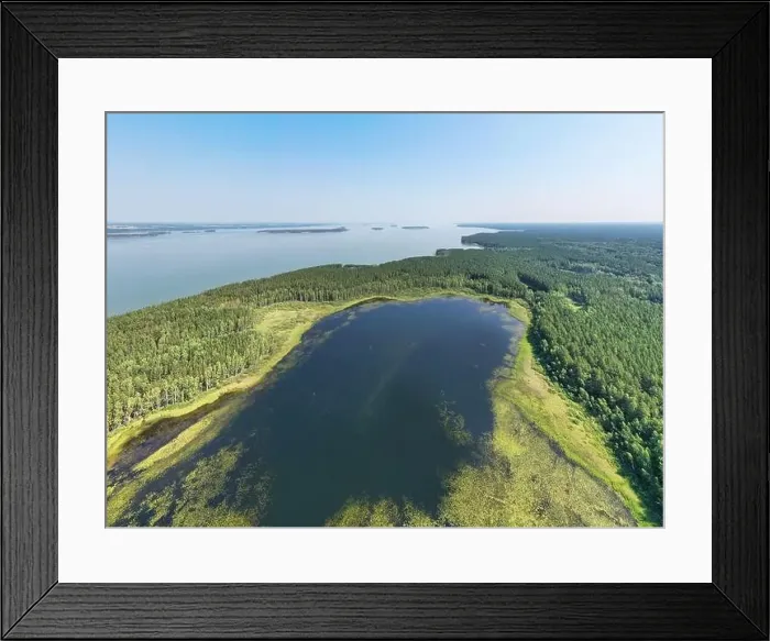 Framed Print : Aerial photo panorama of forest boggy lake in the Karakansky pine forest near the shore of the Ob reservoir Framed Print : Aerial photo panorama of forest boggy lake in the Karakansky pine forest near the shore of the Ob reservoir