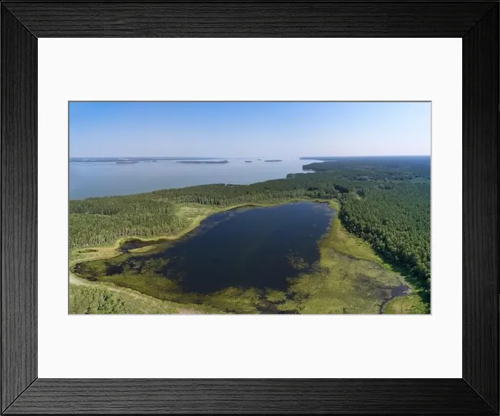 Framed Print : Aerial photo panorama of forest boggy lake in the Karakansky pine forest near the shore of the Ob reservoir Framed Print : Aerial photo panorama of forest boggy lake in the Karakansky pine forest near the shore of the Ob reservoir