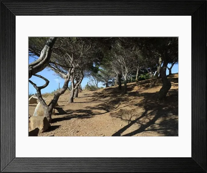 Framed Print : View of Etruscan Coast, Gulf of Baratti. A beautiful day in Populonia, Italy Framed Print : View of Etruscan Coast, Gulf of Baratti. A beautiful day in Populonia, Italy