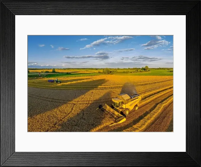 Framed Print : Harvest in Warmia in north-eastern Poland Framed Print : Harvest in Warmia in north-eastern Poland