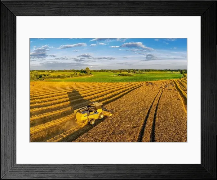 Framed Print : Harvest in Warmia in north-eastern Poland Framed Print : Harvest in Warmia in north-eastern Poland