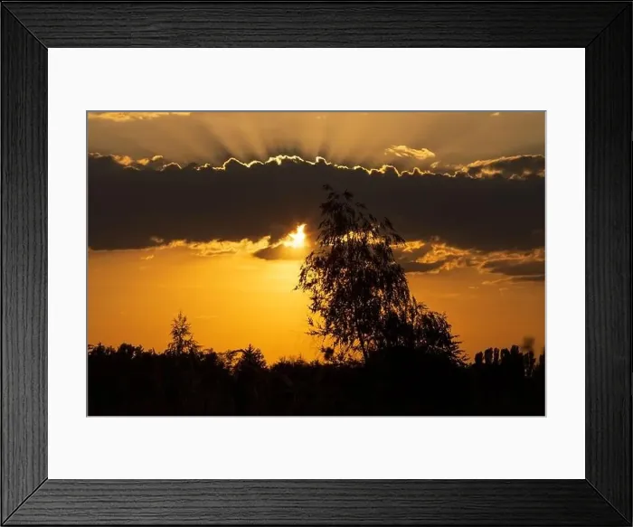 Framed Print : beautiful sunset with tree and clouds Framed Print : beautiful sunset with tree and clouds