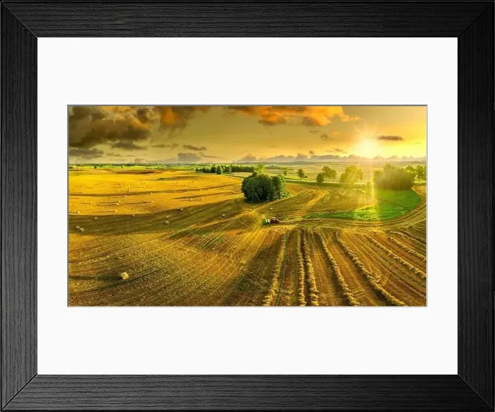 Framed Print : Harvest in Warmia in north-eastern Poland Framed Print : Harvest in Warmia in north-eastern Poland