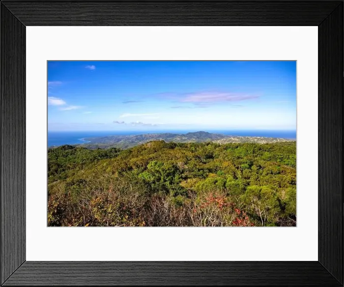 Framed Print : Tropical island landscape and sea on horizon Framed Print : Tropical island landscape and sea on horizon