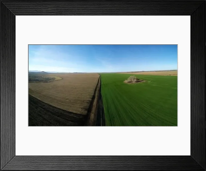 Framed Print : Two autumn fields with winter and spring wheat are separated by the road. Aerial photography from a quadcopter Framed Print : Two autumn fields with winter and spring wheat are separated by the road. Aerial photography from a quadcopter
