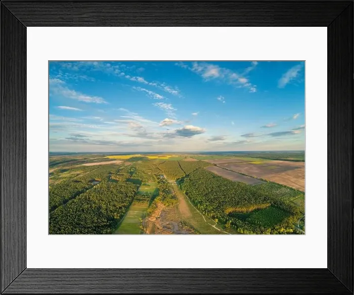 Framed Print : Rural landscape, aerial view, skyview of countryside and pine forest with beautiful sky Framed Print : Rural landscape, aerial view, skyview of countryside and pine forest with beautiful sky
