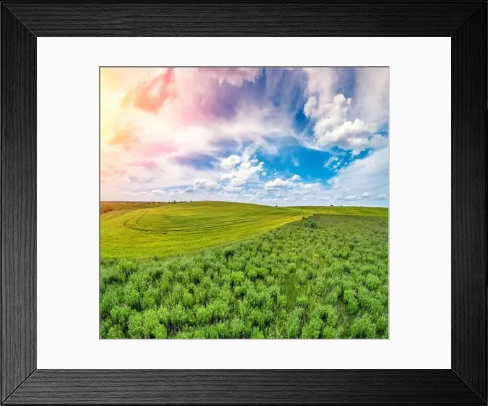 Framed Print : Summer rural landscape. Aerial view. View of a wheat field and grassland with beautiful cloudy sky Framed Print : Summer rural landscape. Aerial view. View of a wheat field and grassland with beautiful cloudy sky