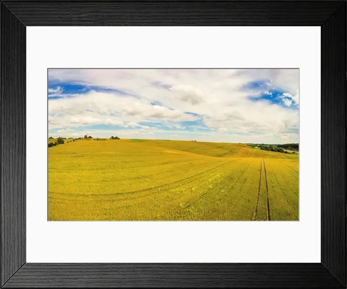 Framed Print : Summer rural landscape, aerial view. View of wheat fields with beautiful sky