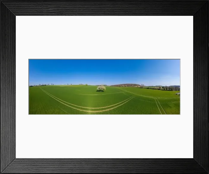 Framed Print : Aerial drone view, agricultural landscape with blooming apple trees Framed Print : Aerial drone view, agricultural landscape with blooming apple trees