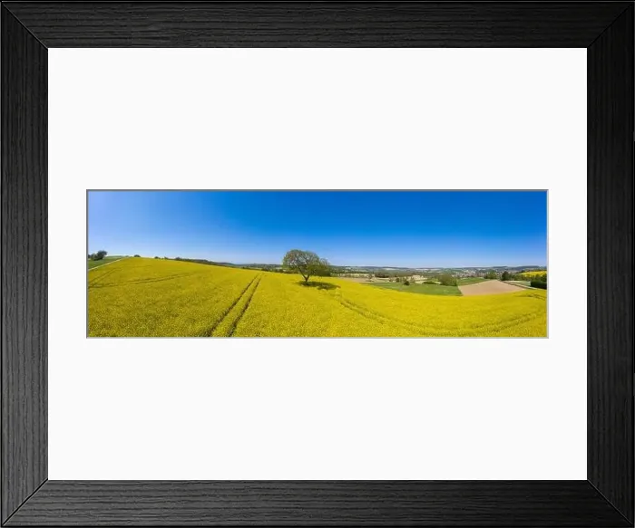 Framed Print : Aerial drone view, agricultural landscape with rape field, Walzbachtal, Kraichgau, Baden-Wurttemberg, Germany, Europe Framed Print : Aerial drone view, agricultural landscape with rape field, Walzbachtal, Kraichgau, Baden-Wurttemberg, Germany, Europe