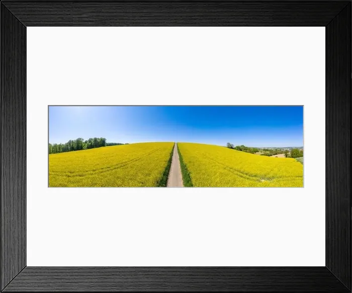 Framed Print : Aerial drone view, field path runs through agricultural landscape Framed Print : Aerial drone view, field path runs through agricultural landscape