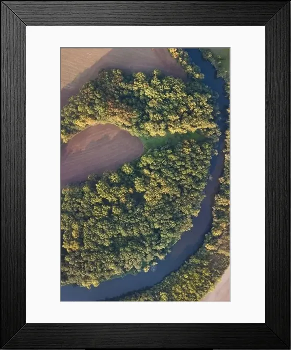 Framed Print : Top view of the river with turns of meanders and green forests in bright sunlight Framed Print : Top view of the river with turns of meanders and green forests in bright sunlight