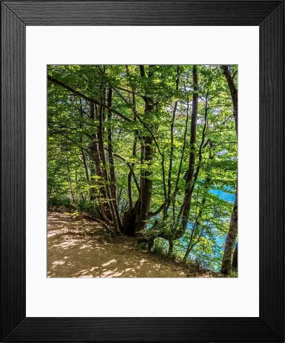 Framed Print : Plitvice Lakes National Park is one of the oldest and largest national parks in Croatia and UNESCO World Heritage Framed Print : Plitvice Lakes National Park is one of the oldest and largest national parks in Croatia and UNESCO World Heritage