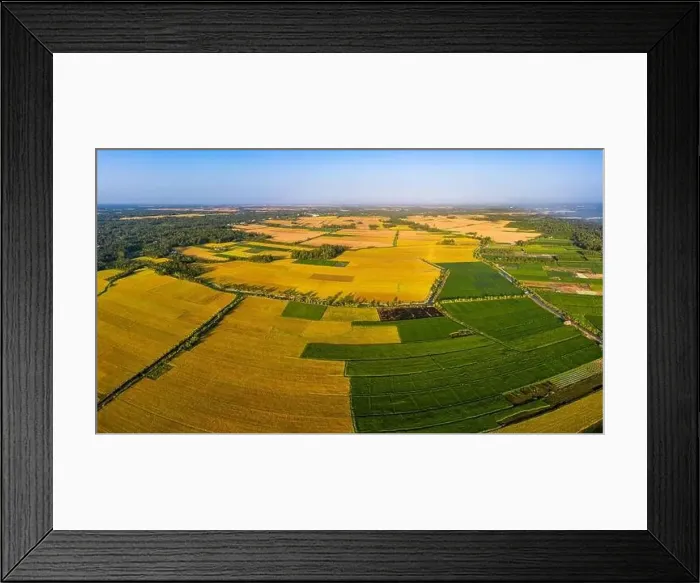 Framed Print : The farmers who grow and harvest sedge in Vung Liem, Vinh Long, Vietnam, Indochina, Southeast Asia, Asia Framed Print : The farmers who grow and harvest sedge in Vung Liem, Vinh Long, Vietnam, Indochina, Southeast Asia, Asia