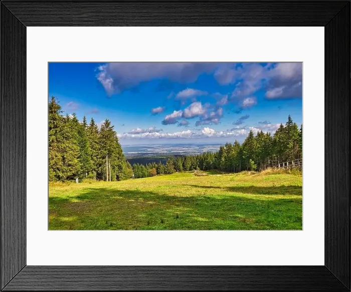 Framed Print : Coniferous forest in the Harz Mountains in Lower Saxony in Germany Framed Print : Coniferous forest in the Harz Mountains in Lower Saxony in Germany