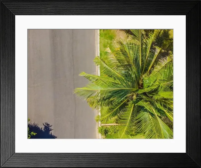 Framed Print : Sunny jogging path along the palm trees Framed Print : Sunny jogging path along the palm trees