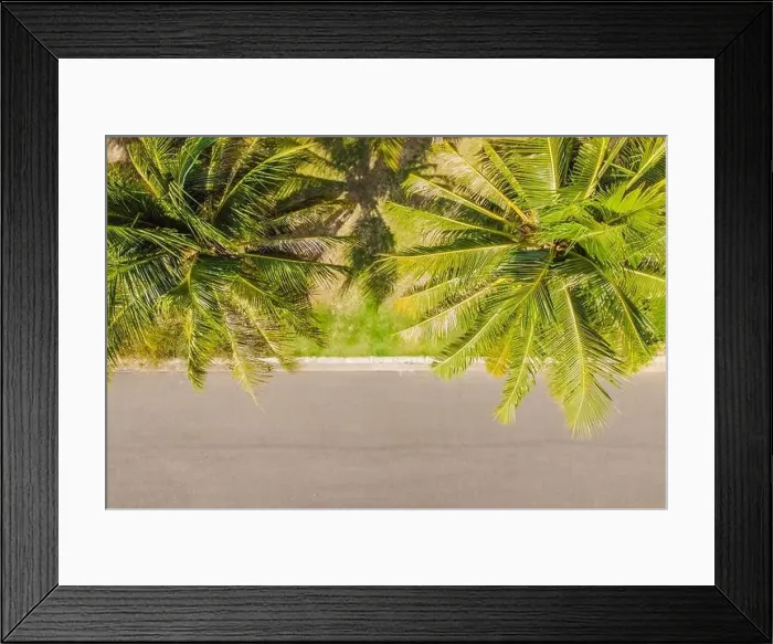 Framed Print : Sunny jogging path along the palm trees Framed Print : Sunny jogging path along the palm trees