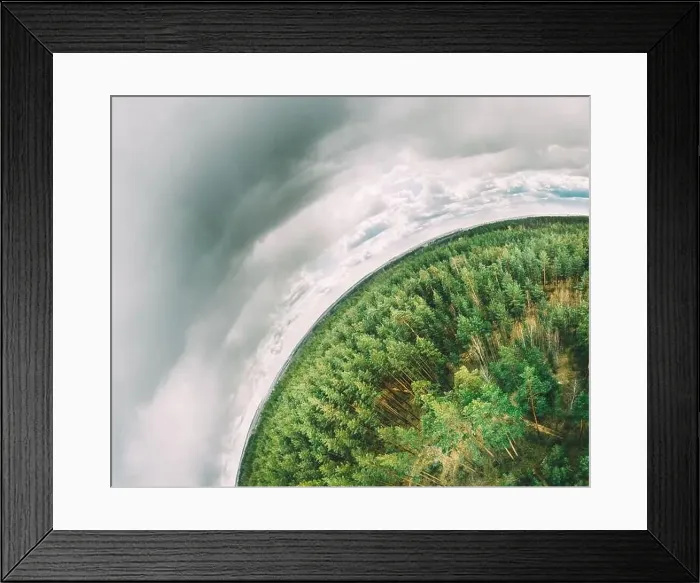 Framed Print : Aerial View Green Coniferous Forest Pines Woods Landscape In Spring Day Framed Print : Aerial View Green Coniferous Forest Pines Woods Landscape In Spring Day