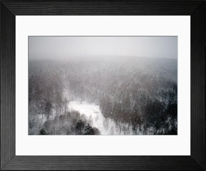 Framed Print : Snow blizzard over the winter forest, top view Framed Print : Snow blizzard over the winter forest, top view