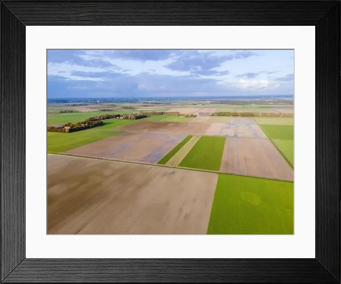 Framed Print : clean green meadows in the Netherlands Framed Print : clean green meadows in the Netherlands