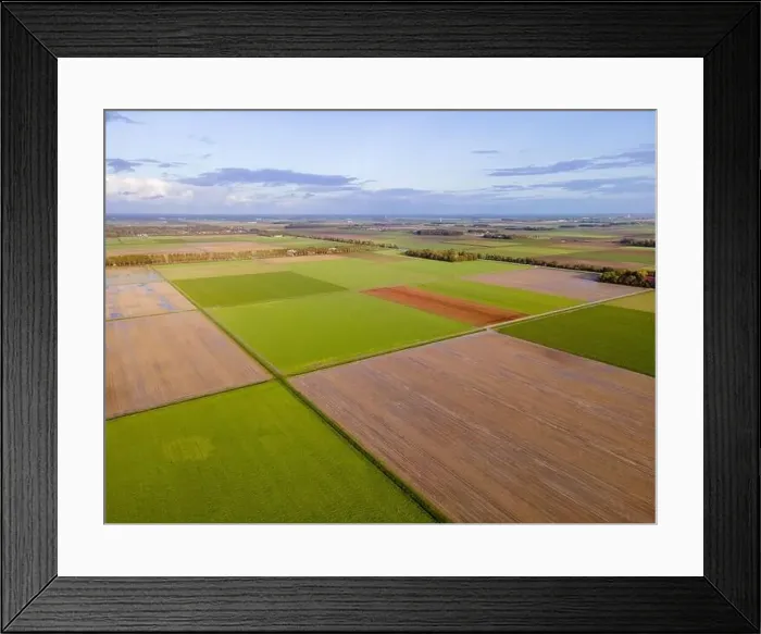 Framed Print : clean green meadows in the Netherlands Framed Print : clean green meadows in the Netherlands