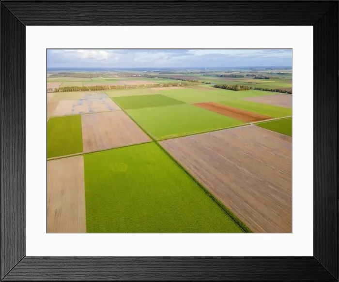 Framed Print : clean green meadows in the Netherlands Framed Print : clean green meadows in the Netherlands