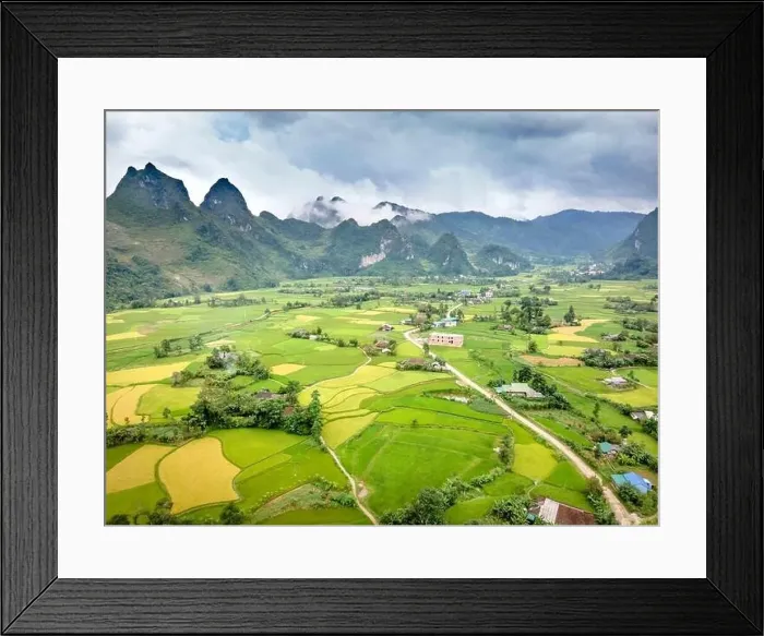 Framed Print : Enjoy a panoramic view of ripe rice fields from above in Cao Bang province, Vietnam
