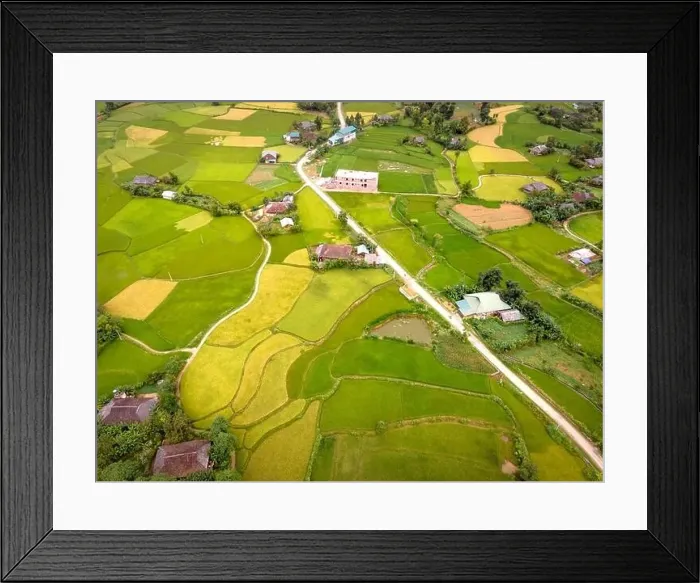 Framed Print : Enjoy a panoramic view of ripe rice fields from above in Cao Bang province, Vietnam Framed Print : Enjoy a panoramic view of ripe rice fields from above in Cao Bang province, Vietnam