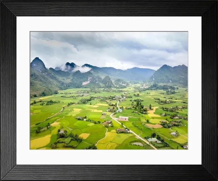 Framed Print : Enjoy a panoramic view of ripe rice fields from above in Cao Bang province, Vietnam Framed Print : Enjoy a panoramic view of ripe rice fields from above in Cao Bang province, Vietnam