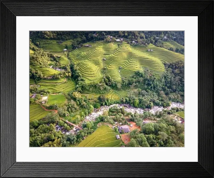 Framed Print : See the stunning scenery of rice terraces during the ripe rice season in Thong Nguyen commune Framed Print : See the stunning scenery of rice terraces during the ripe rice season in Thong Nguyen commune