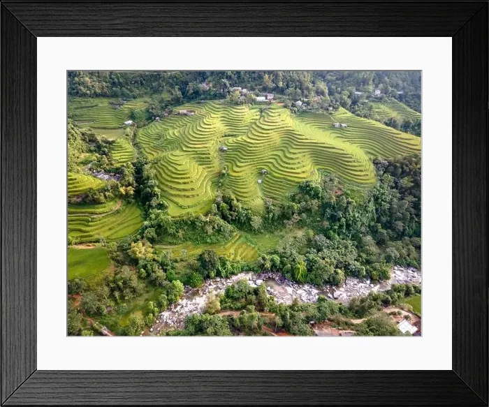 Framed Print : See the stunning scenery of rice terraces during the ripe rice season in Thong Nguyen commune Framed Print : See the stunning scenery of rice terraces during the ripe rice season in Thong Nguyen commune