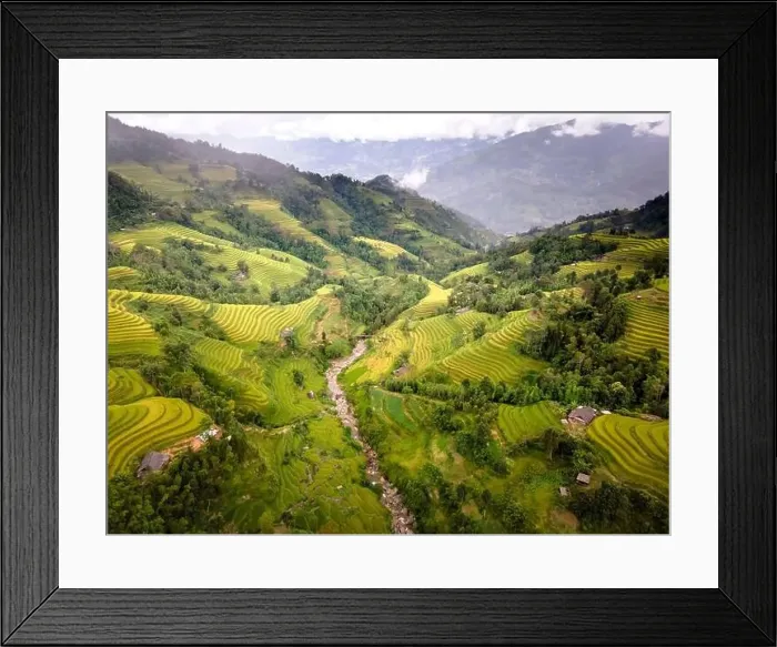 Framed Print : See the stunning scenery of rice terraces during the ripe rice season in Thong Nguyen commune Framed Print : See the stunning scenery of rice terraces during the ripe rice season in Thong Nguyen commune