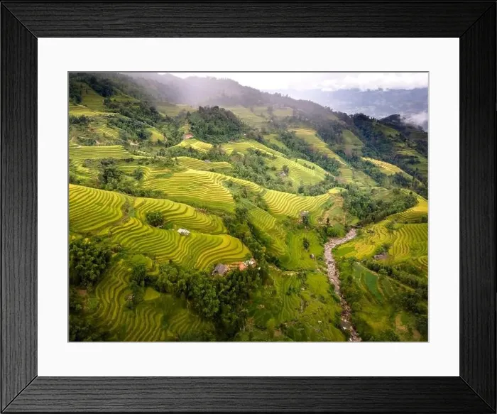 Framed Print : See the stunning scenery of rice terraces during the ripe rice season in Thong Nguyen commune Framed Print : See the stunning scenery of rice terraces during the ripe rice season in Thong Nguyen commune