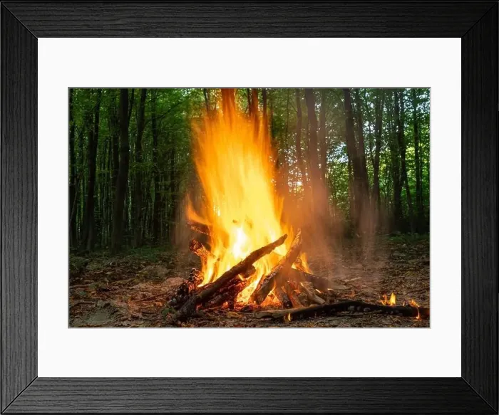 Framed Print : Burning fire. The bonfire burns in the forest Framed Print : Burning fire. The bonfire burns in the forest